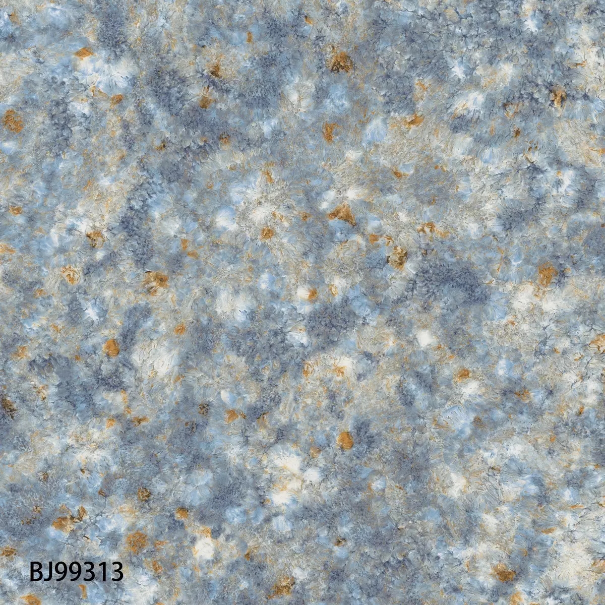 0.webp (1).jpg